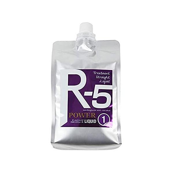 CMC ストレート　R-5 POWER R-5 CMCトリートメントストレート パープル(パワー)1液 1000ml : 愛