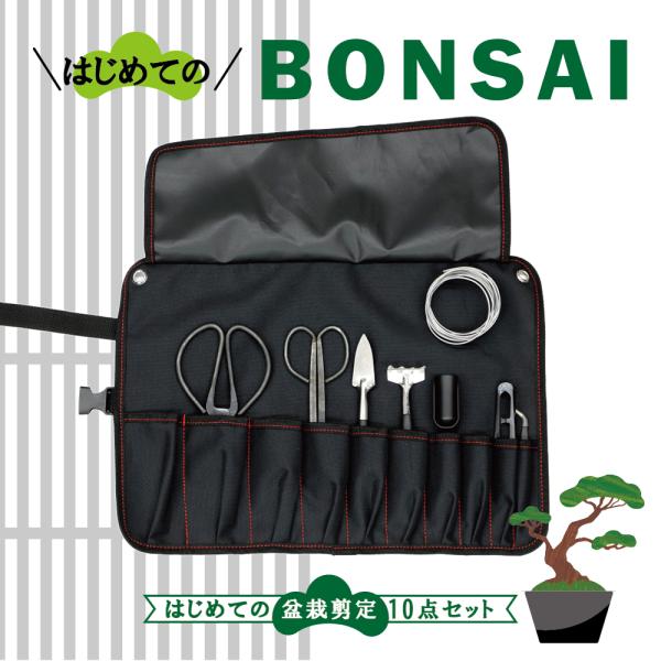 真柏10本セット初心者向け 真柏10本セット人気品初心者向け‼️