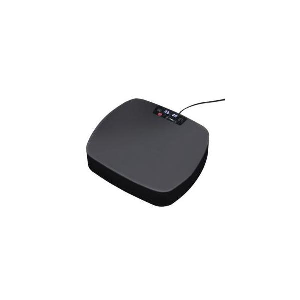 ALINCO（アルインコ） 【即発送】 振動マシンバランスウェーブ