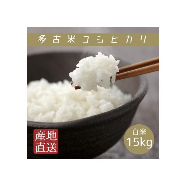 コシヒカリ 令和7年産 千葉県産 多古米 白米 15kg 5kg×3袋 本州四国