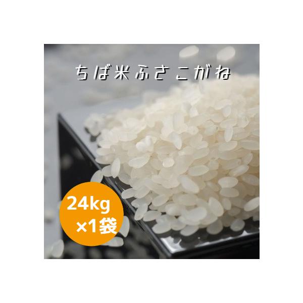 630円/kg 令和7年産 米 お米 ちば米 ふさこがね 白米 24kg ×1袋 本州