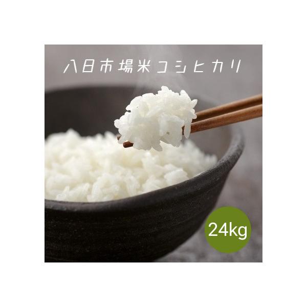 コシヒカリ 新米 令和7年産 八日市場米 白米 24kg (8kg×3袋