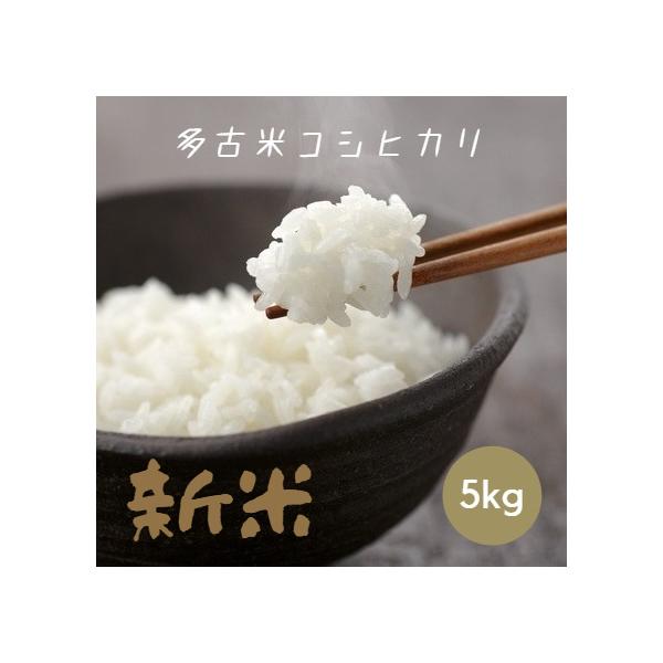 新米 令和8年産 千葉県産 多古米 コシヒカリ 白米 5kg 本州四国 送料無料 米 お米 爆買
