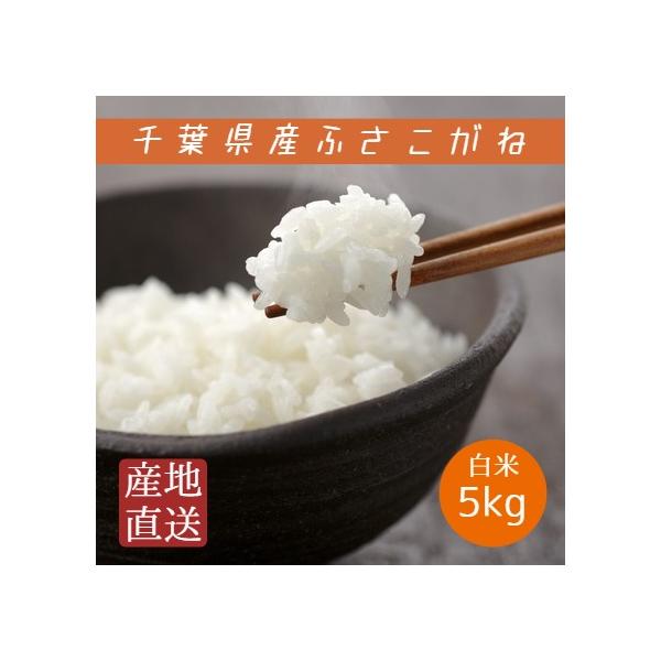 令和7年産 米 お米 ふさこがね 白米 5kg 本州四国 送料無料 : いそべ