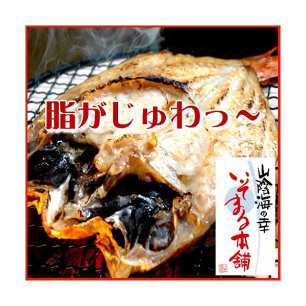 ~Mtg Ε v[g Mtg 2025 Hו O 70 80 60 ̂ǂ  銱 S Zbg Yn   O MtgΉ