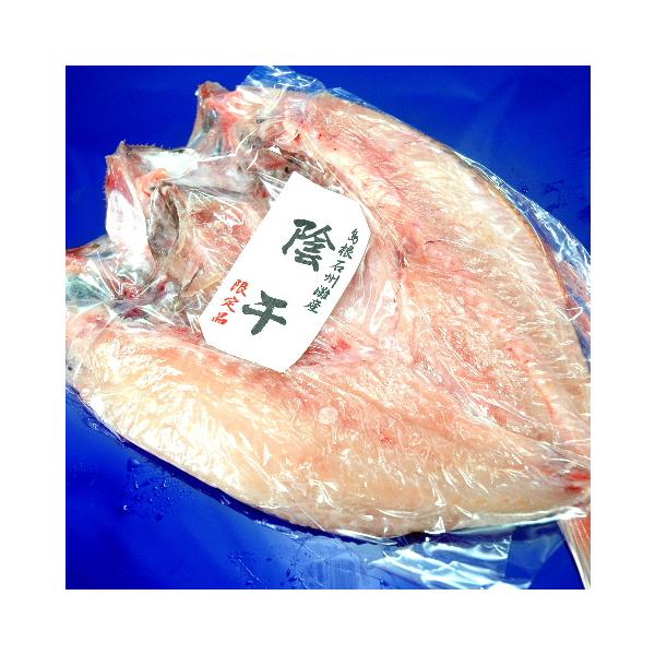 ~Mtg Ε v[g Mtg 2025 Hו O 70 80 60 ̂ǂ늱 銱  3 900gO   {C RA lcY