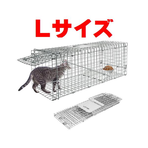 isozaki-store_645t8hfer isozaki-store_645t8hfer