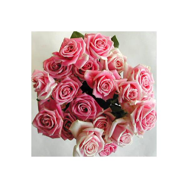 バラの花束本 使い勝手の良い ピンク系本 000円 本体価格6