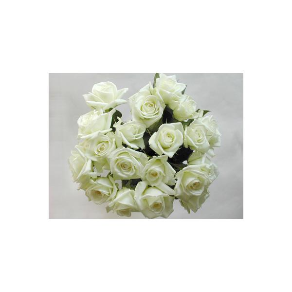 バラの花束15本 白バラ15本 本体価格5 250円 Ocaa Or Jp