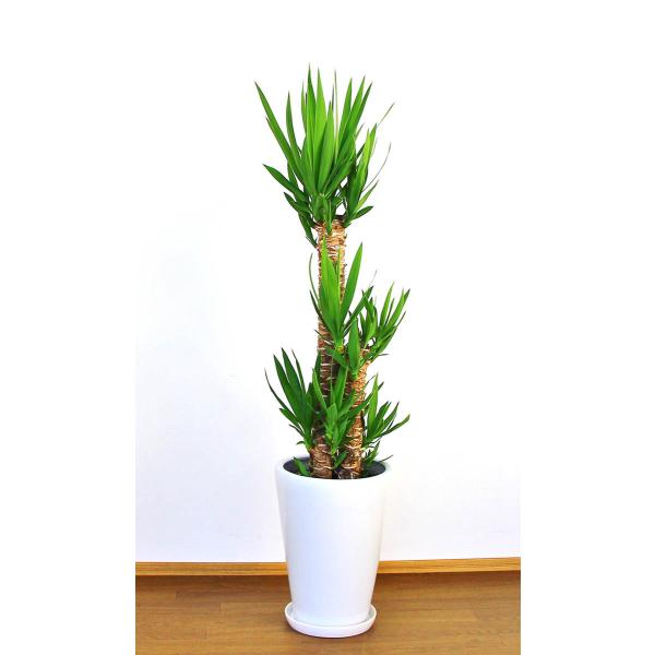 ϗtA JXj36~ bJ10 픫EoXPbg