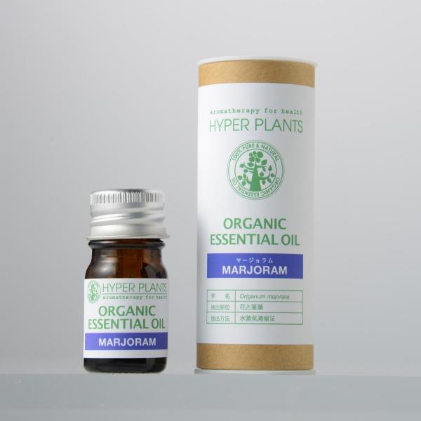 }[W5ml/I[KjbNGbZVIC nCp[vci{̉i2,000~j