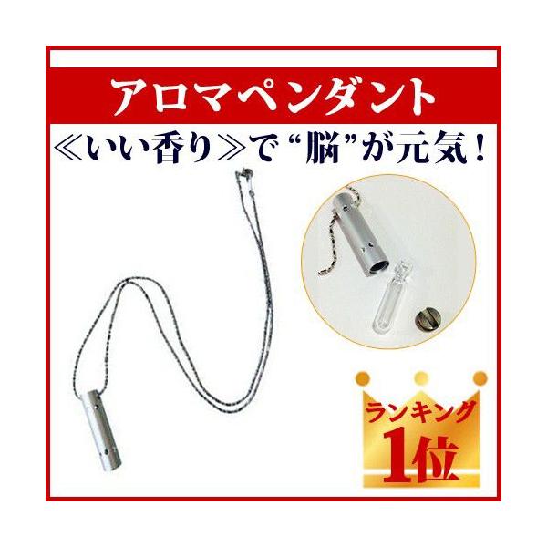 A}y_g/ nCp[vcЁ@{̉i2,200~