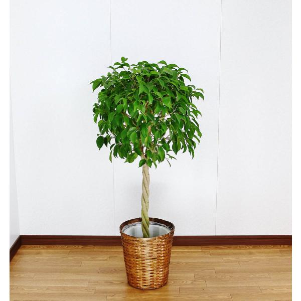 ϗtA JXj25~ xW~8 픫EoXPbg@27,500~i25,000~Ŕj