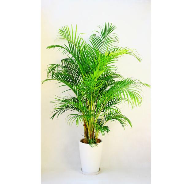 ϗtA JXj36~ AJV10 @픫EoXPbg