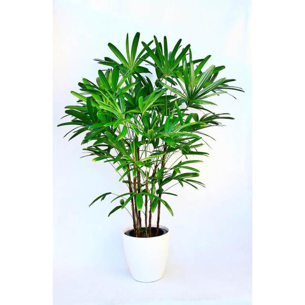 ϗtA JXj36~ Jm`N10@픫EoXPbg