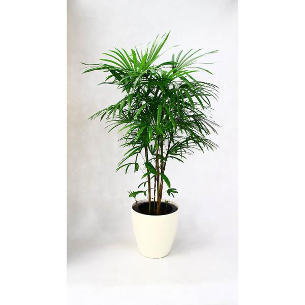 ϗtA JXj36~ V`N10 @픫EoXPbg