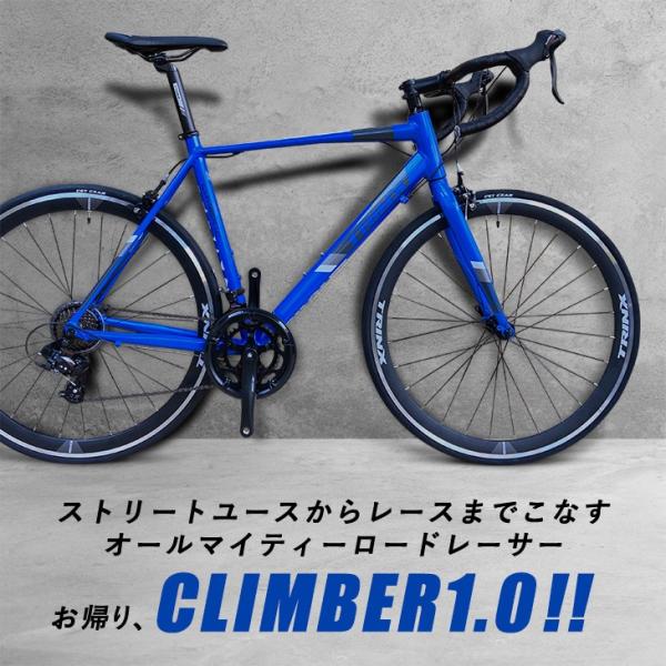 自転車 ロードバイク 速い自転車 700C デュアルコントールレバー搭載 