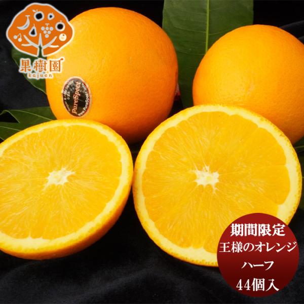 王様のオレンジ 113玉サイズ ハーフ 56個入 : 逸酒創伝 弐号店 - 通販