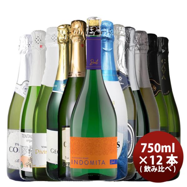 カヴァ&オーガニック入り スパークリングワイン 12本 飲み比べ カヴァ&オーガニック入り スパークリングワイン 12本 飲み比べ