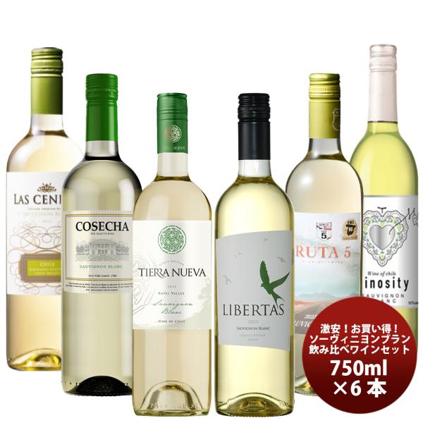 激安！！お買い得 ソーヴィニヨンブラン 飲み比べ ワインセット 6種6本