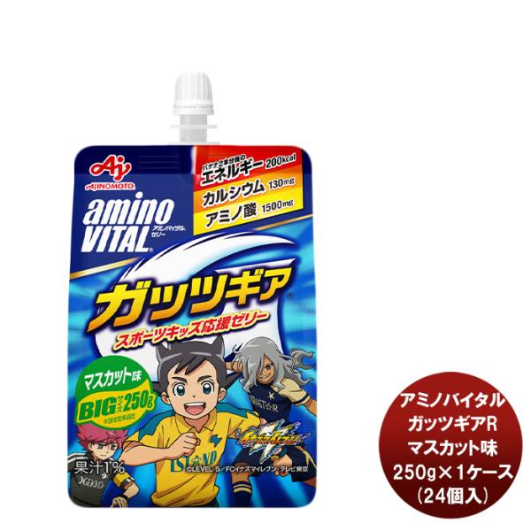 A~moC^R [[hN KbcMAR }XJbg 250G × 1P[X / 24X|[c [[ GlM[ A~m_ BCAA JVE ^ ⋋