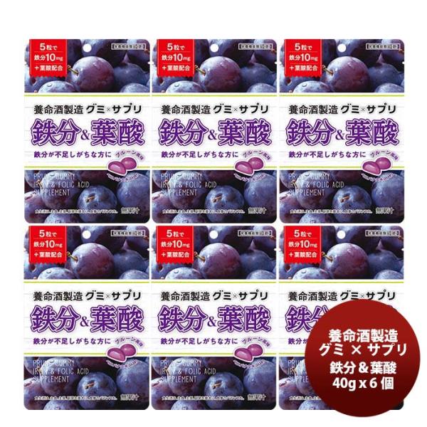 養命酒製造 グミ×サプリ 鉄分＆葉酸 40g ｘ 6個 父の日 ギフト