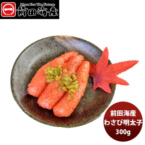 OcCY 킳іq 280g 炱 ߂񂽂  R AW }C`Oc [J[ Y ̂EMtgΉs