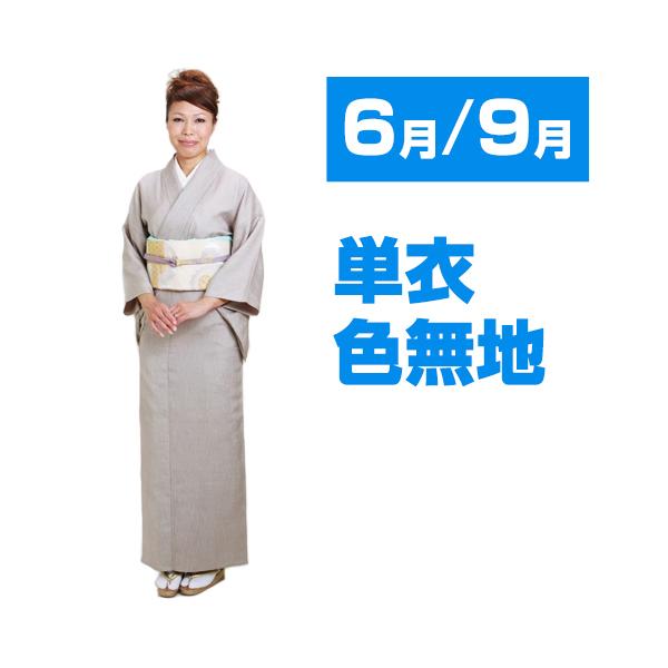 色無地 単衣 レンタル 6月・9月 夏用 夏物〔高級正絹〕 紫シルバー色 単衣色無地 お茶会 入学式 卒業式 七五三 お宮参り 往復送料無料 NT-L207