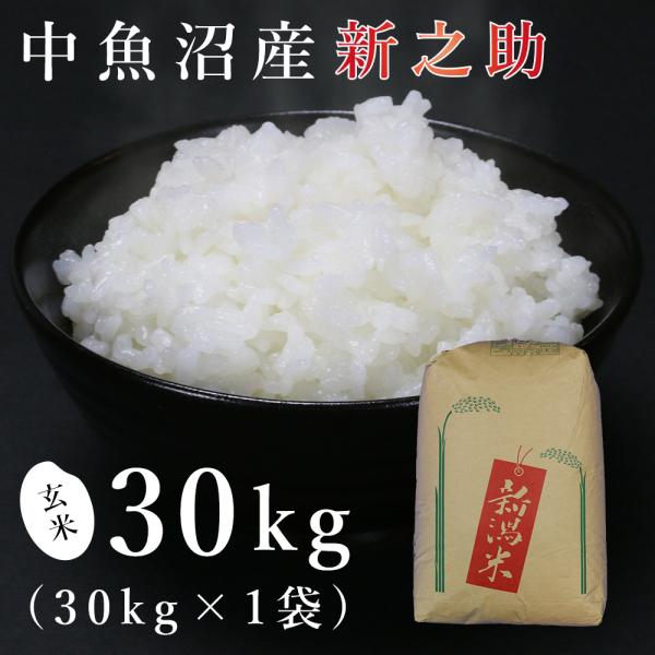 新之助（しんのすけ） 【玄米】中魚沼産「」30kg（令和7年産） : 魚沼