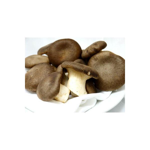 イタリアプーリア州の一部の地域でのみ栽培されている貴重なキノコです。肉厚で奥深い味わいは存在感があり、付け合せは勿論、主菜としてもお使いできる万能キノコです。