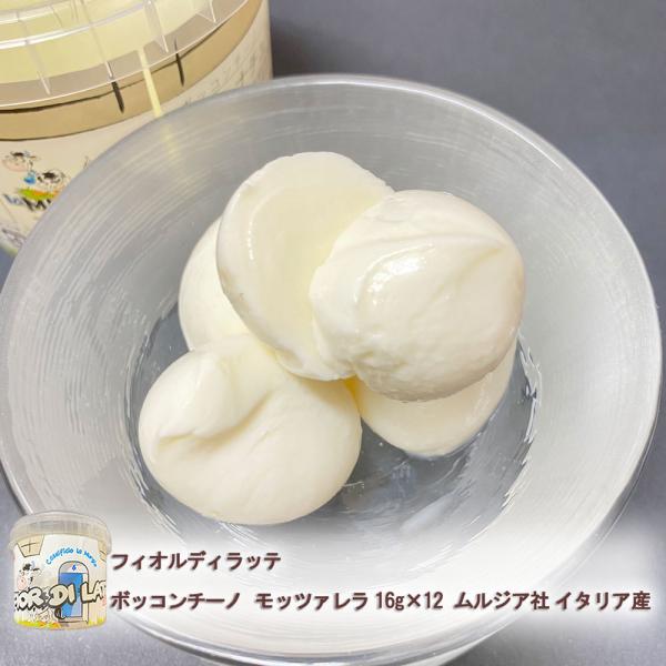 `[Y tBIfBbe {bR`[m bc@ 16g ×12 WA C^AY A\  v[g \񏤕i