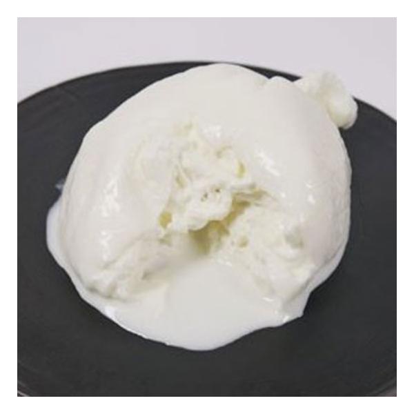 `[Y WA u[^ 100g tbV C^AY Tj ߌi20j܂ł̂ŗTؗjɕXׁ֓E