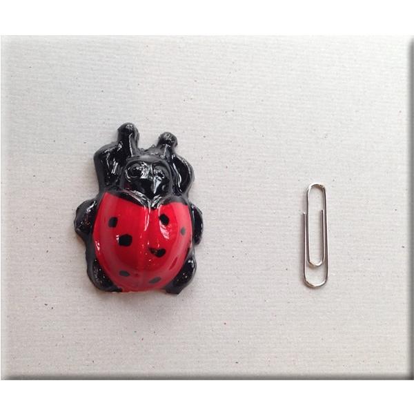 陶器・置物 てんとう虫（大） : ミオ・ヴィーノ Mio Vino - 通販