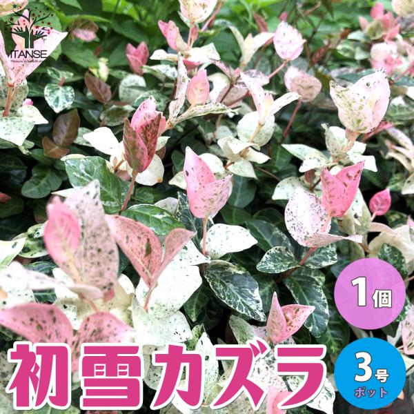itanse_han00125
