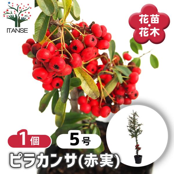 itanse_han08761