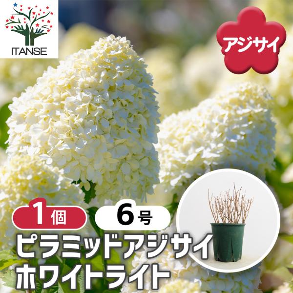 itanse_han09237