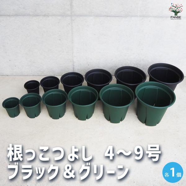 itanse_plab0121