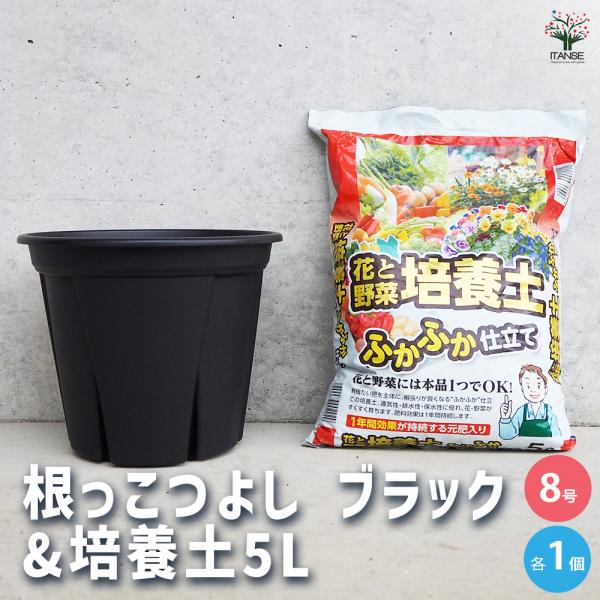 ITANSE 植木鉢 根っこつよし ブラック8号&培養土5L／各1個 プラ鉢 8号