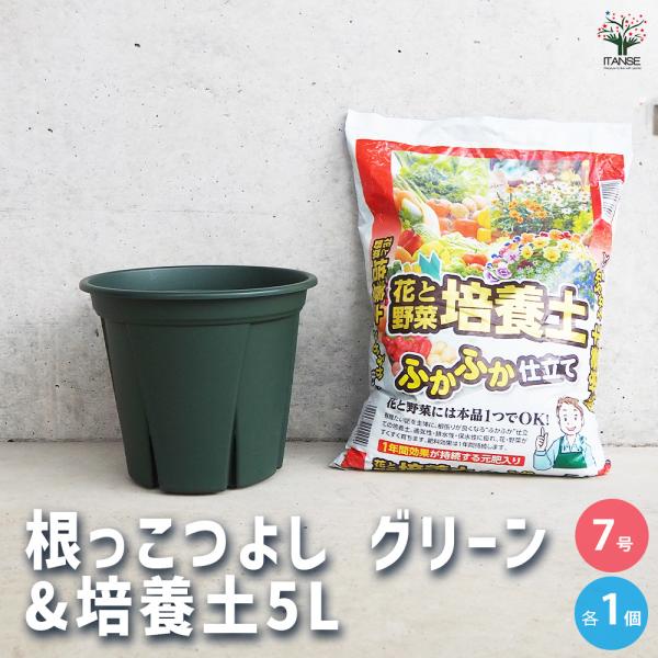 ITANSE 植木鉢 根っこつよし グリーン7号&培養土5L／各1個 プラ鉢 7号