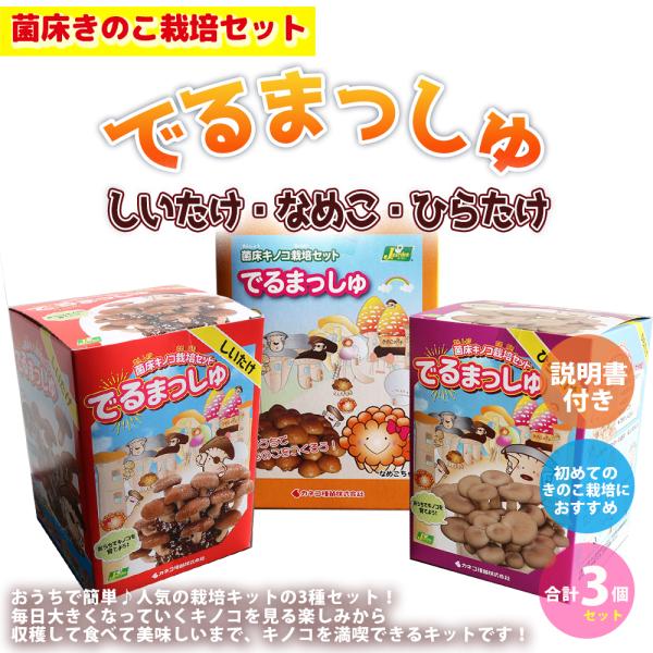 菌床きのこ栽培セット"でるまっしゅ"Bセット しいたけ・なめこ・ひらたけ 各1個 合計3個セットおうちで簡単に美味しいきのこが栽培出来るキットです。このセットだけで繰り返し収穫が可能です。キノコは直射日光を当てる必要がないため、おうちの室内...