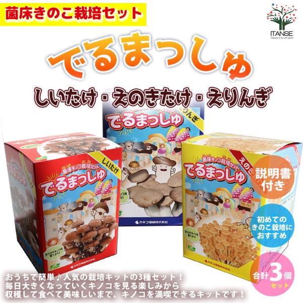 菌床きのこ栽培セット"でるまっしゅ"Cセット しいたけ・えのきたけ・えりんぎ 各1個 合計3個セットおうちで簡単に美味しいきのこが栽培出来るキットです。このセットだけで繰り返し収穫が可能です。キノコは直射日光を当てる必要がないため、おうちの...