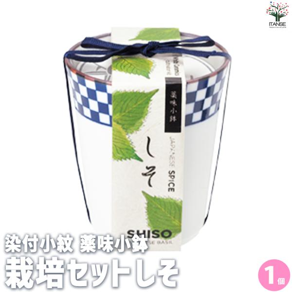 【セット内容】小鉢：1個(高さ：8cm 直径：7cm)種：1袋培養土：1袋インナーポット：1個鉢底シート：1枚取扱説明書：1冊おうちで簡単に青じそが栽培できるキットです。育てるうえで必要なものが全て入っていますので、このまま育てることができ...
