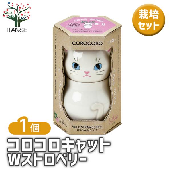 【商品の特徴】 ワイルドストロベリーは「幸せを運ぶ」と呼ばれているバラ科イチゴ属の多年草。四季なりのイチゴで暖かい室内で管理すれば、冬にも花を咲かせ実をつけます。暑さ寒さに強く、とても育てやすいハーブです。猫たちがコロンとお座りしたような姿...