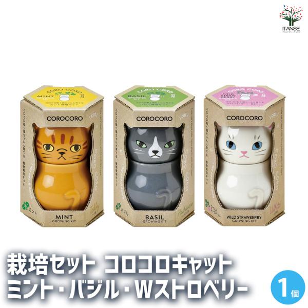 【セット内容】 計：3箱 栽培セット コロコロキャット ミント 1箱 栽培セット コロコロキャット バジル 1箱 栽培セット コロコロキャット ワイルドストロベリー 1箱 【商品の特徴】 猫たちがコロンとお座りしたような姿の底面給水栽培キッ...