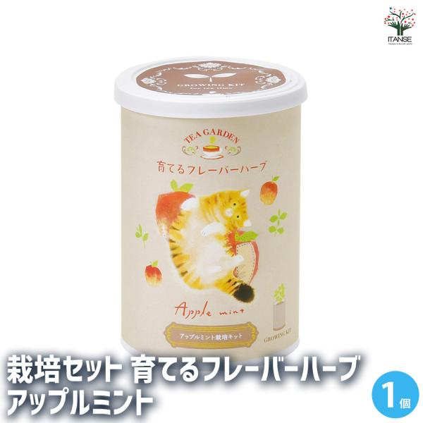 【商品の特徴】 直射日光下または明るい日陰を好み、丈夫です。 葉は、名前の通りアップルのようなフルーティーな香りです。 フレーバーティーを手にした可愛いネコが描かれたパッケージが そのまま栽培ポットになるハーブ栽培セットです。 水をあげると...