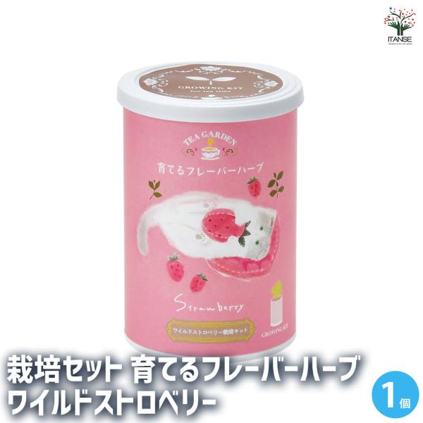 【商品の特徴】 ワイルドストロベリーは「幸せを運ぶ」と呼ばれているバラ科イチゴ属の多年草。 四季なりのイチゴで暖かい室内で管理すれば、冬にも花を咲かせ実をつけます。 暑さ寒さに強く、とても育てやすいハーブです。 フレーバーティーを手にした可...
