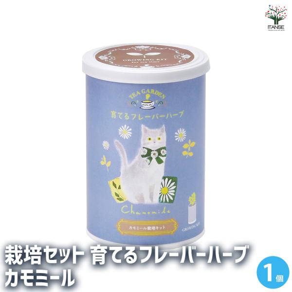 【商品の特徴】 小さく白いハナがリンゴに似た甘く爽やかな香りでハーブティーやアロマなどに利用します。 寒さにも強く、丈夫で育てやすいハーブです。 フレーバーティーを手にした可愛いネコが描かれたパッケージが そのまま栽培ポットになるハーブ栽培...