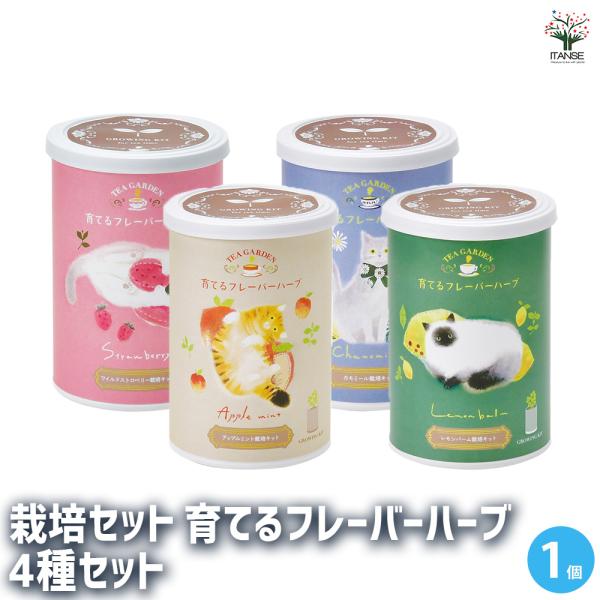 【セット内容】 計：4箱 栽培セット 育てるフレーバーハーブ アップルミント 1箱 栽培セット 育てるフレーバーハーブ レモンバーム 1箱 栽培セット 育てるフレーバーハーブ ワイルドストロベリー 1箱 栽培セット 育てるフレーバーハーブ ...