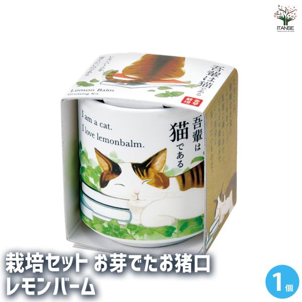 【商品の特徴】 葉がレモンに似た甘く爽やかな香りで、ハーブティーや肉・魚料理に利用します。暑さ、寒さにも強く育てやすいです！名作「吾輩は猫である」のイメージで描かれた猫たちのおちょこで楽しむ栽培セット。おちょこなので、キッチンやリビングなど...