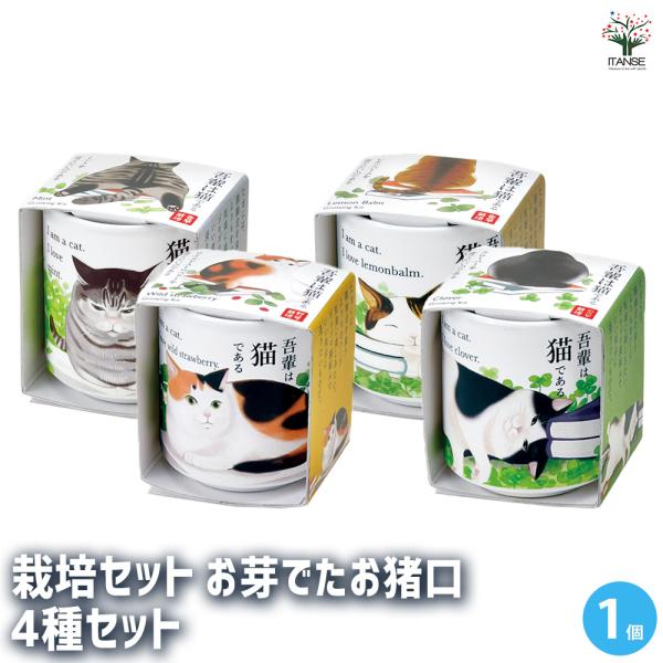 【セット内容】 計：4箱栽培セット お芽でたお猪口 吾輩猫 ミント 1箱 栽培セット お芽でたお猪口 吾輩猫 レモンバーム 1箱栽培セット お芽でたお猪口 吾輩猫 ワイルドストロベリー 1箱栽培セット お芽でたお猪口 吾輩猫 四葉のクローバ...